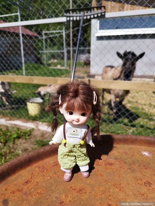 Моя Sto doll Раечка...Год вместе (фото 10)