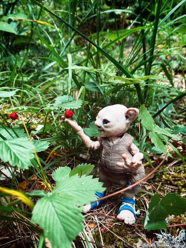 ЛуниБо — Домашние фото авторских кукол: личные коллекции (фото 8)