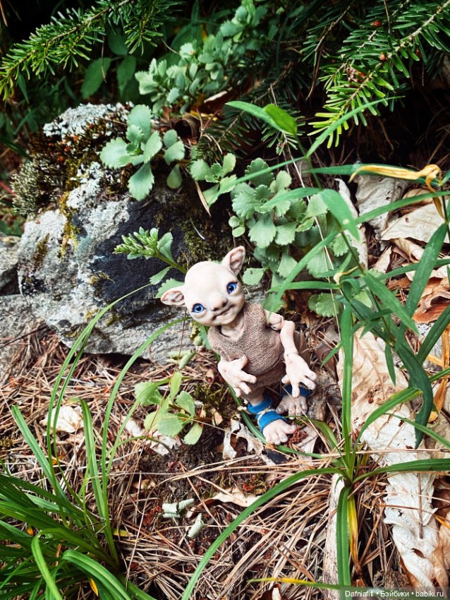 ЛуниБо — Домашние фото авторских кукол: личные коллекции (фото 5)