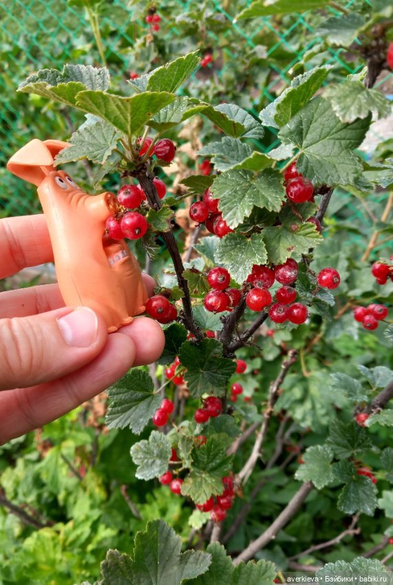 Три весёлых друга — Интересные игрушки и фигурки (разное): редкие (фото 10)