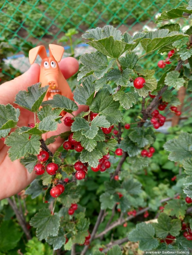 Три весёлых друга — Интересные игрушки и фигурки (разное): редкие (фото 8)