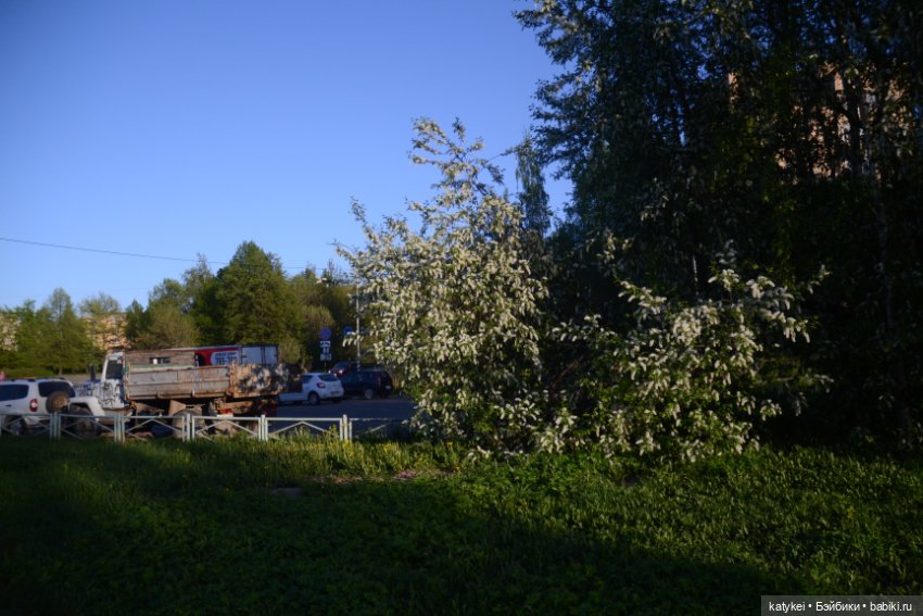 d879bb4d73.jpg