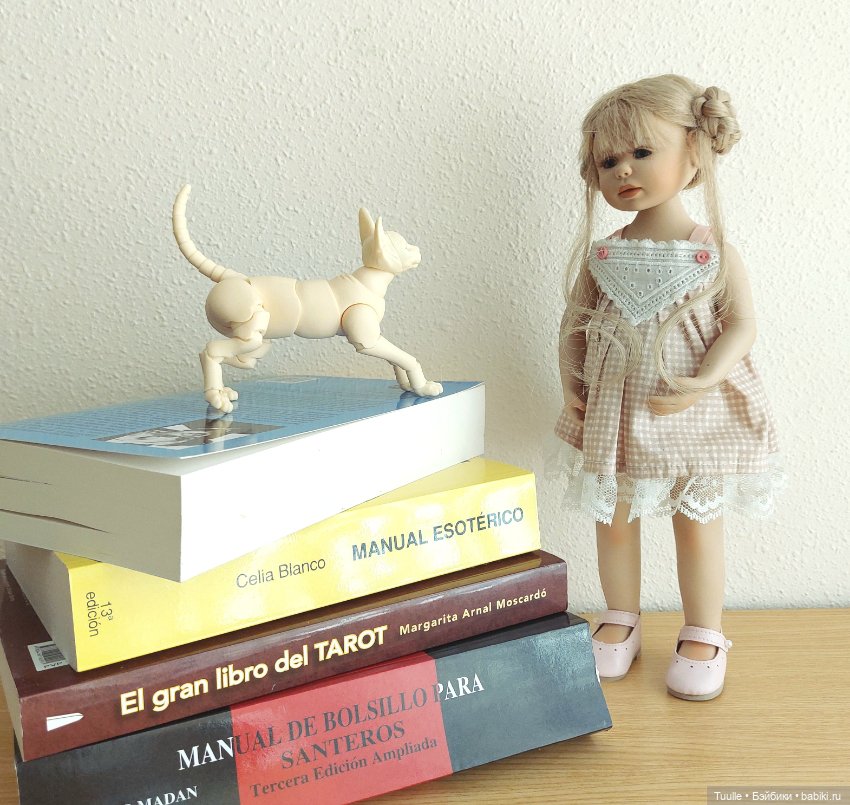 Девочки и кошка. Фото с домашним питомцем