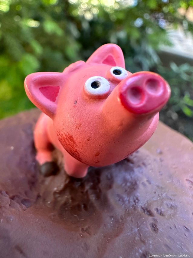 Свинья грязь везде найдёт (фото 8)