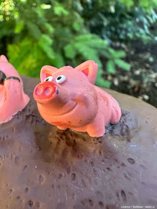 Свинья грязь везде найдёт (фото 2)