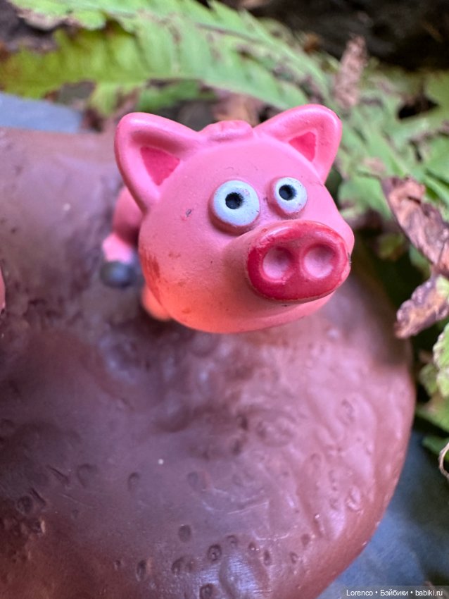 Свинья грязь везде найдёт