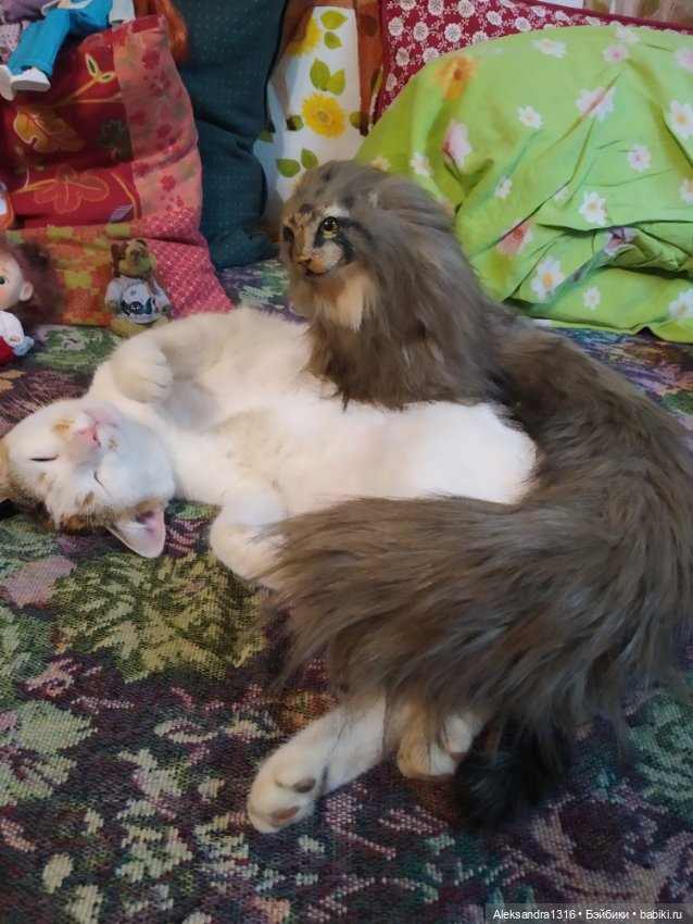 Люся спит🤫 — Авторские работы в частных коллекциях: домашние фото кукол и игрушек (фото 2)