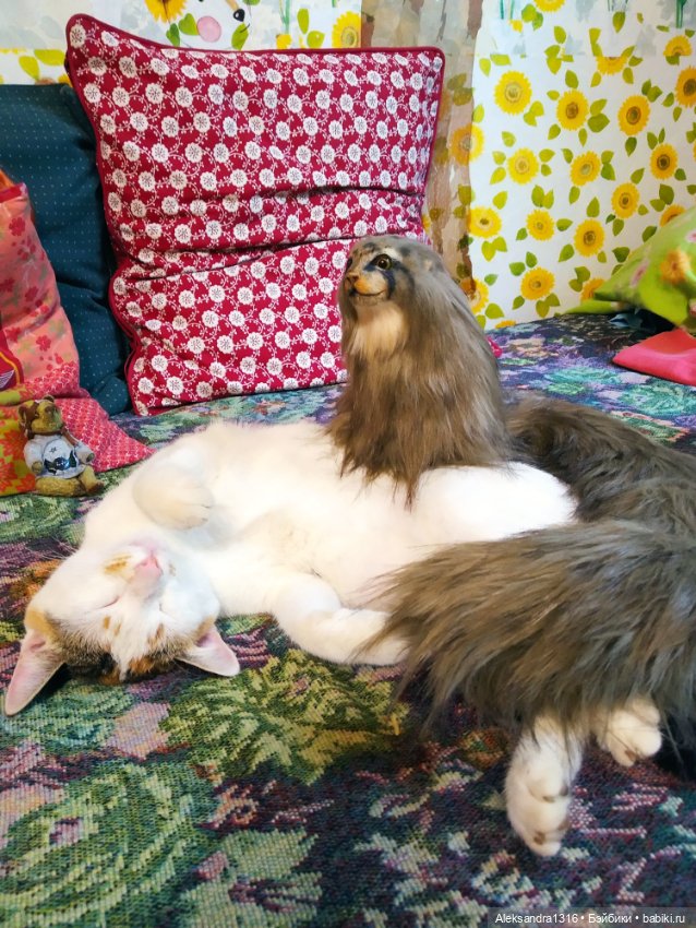 Люся спит🤫 — Авторские работы в частных коллекциях: домашние фото кукол и игрушек (фото 4)