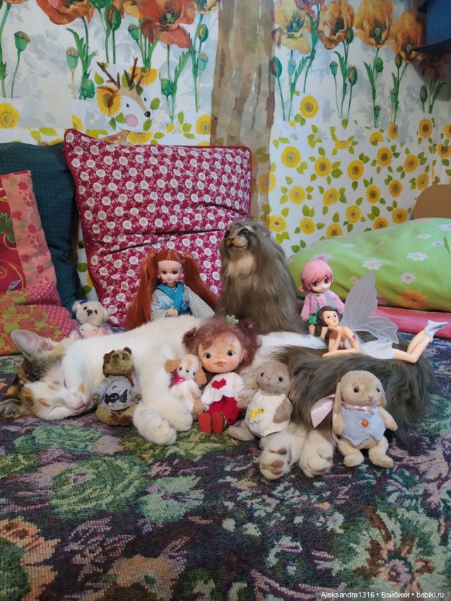 Люся спит🤫 — Авторские работы в частных коллекциях: домашние фото кукол и игрушек