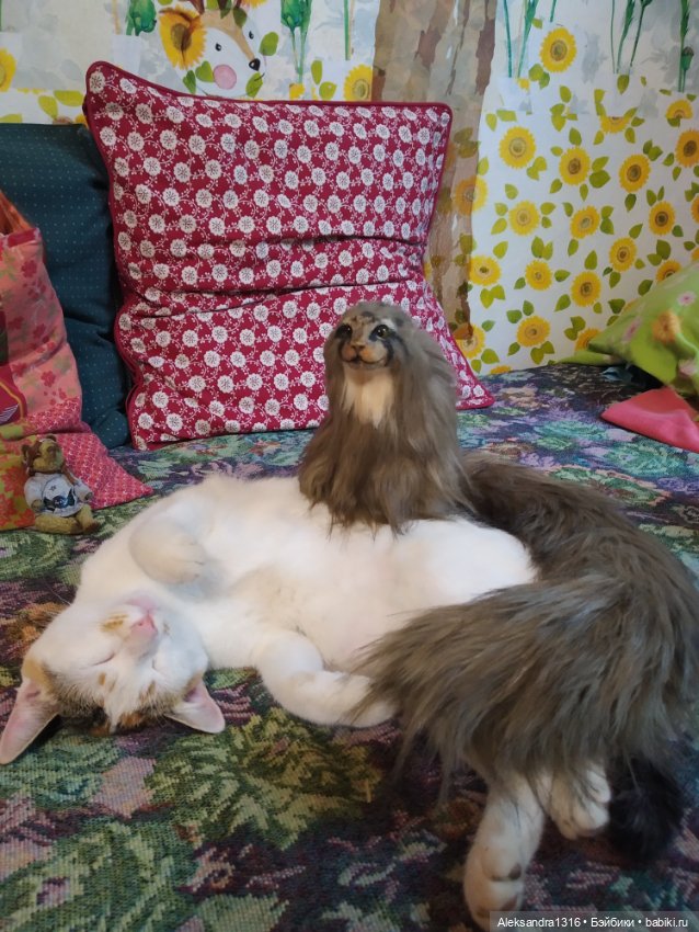 Люся спит🤫 — Авторские работы в частных коллекциях: домашние фото кукол и игрушек (фото 3)