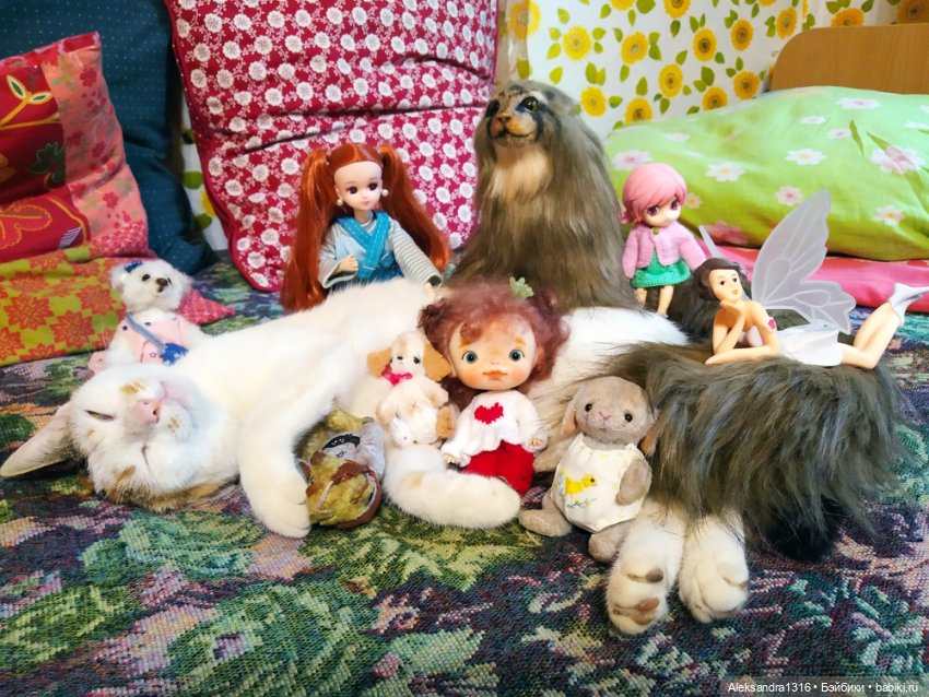 Люся спит🤫 — Авторские работы в частных коллекциях: домашние фото кукол и игрушек