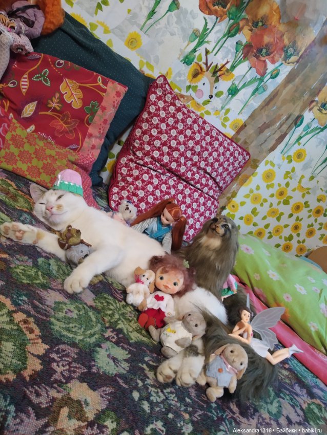 Люся спит🤫 — Авторские работы в частных коллекциях: домашние фото кукол и игрушек