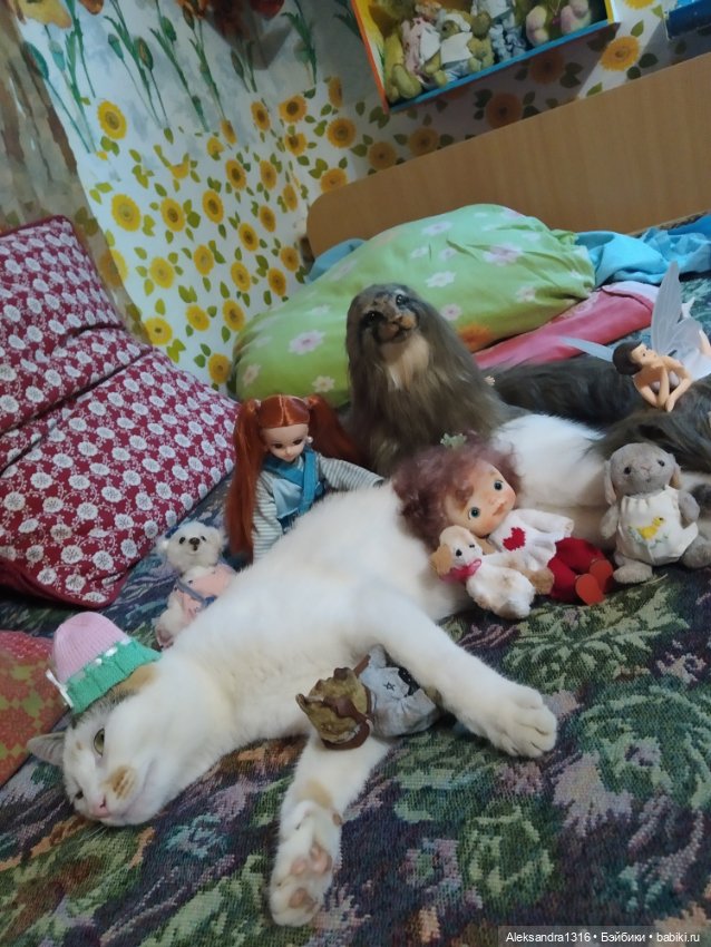 Люся спит🤫 — Авторские работы в частных коллекциях: домашние фото кукол и игрушек