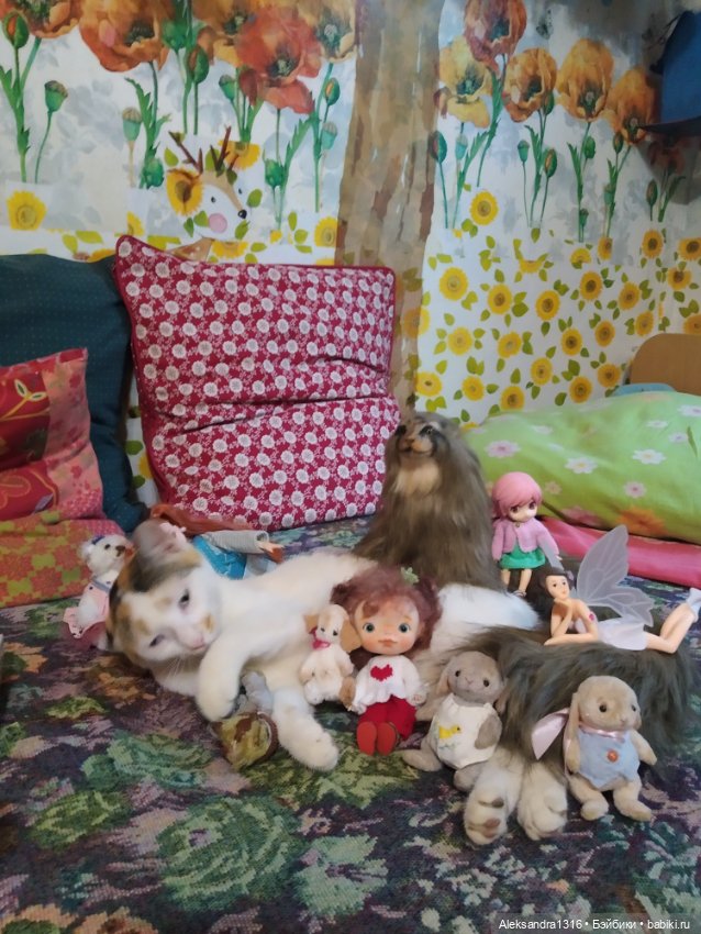 Люся спит🤫 — Авторские работы в частных коллекциях: домашние фото кукол и игрушек