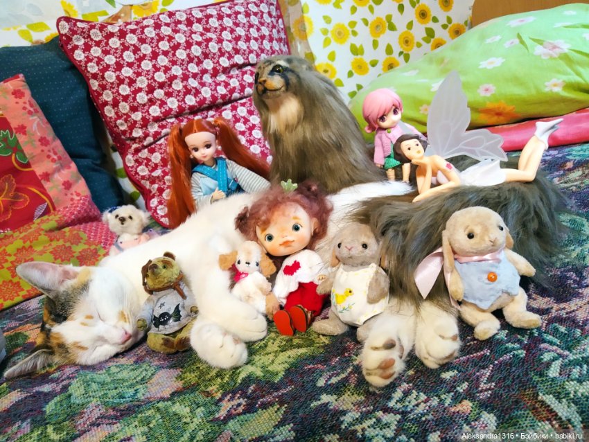 Люся спит🤫 — Авторские работы в частных коллекциях: домашние фото кукол и игрушек