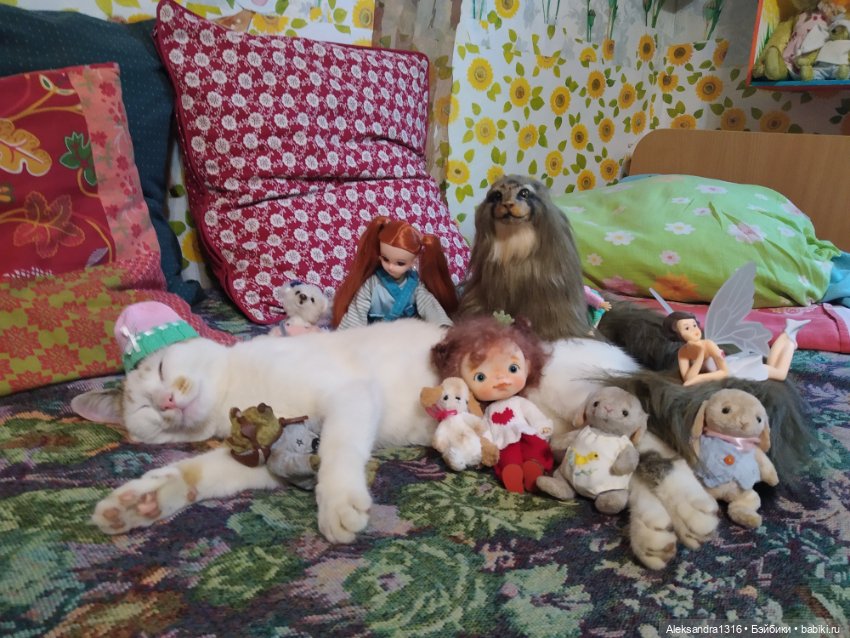 Люся спит🤫 — Авторские работы в частных коллекциях: домашние фото кукол и игрушек