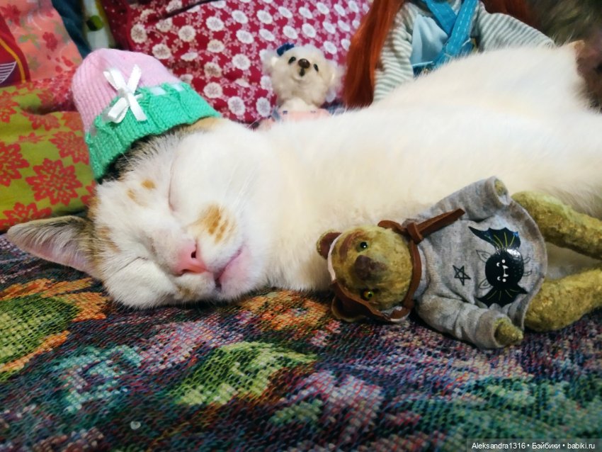 Люся спит🤫 — Авторские работы в частных коллекциях: домашние фото кукол и игрушек