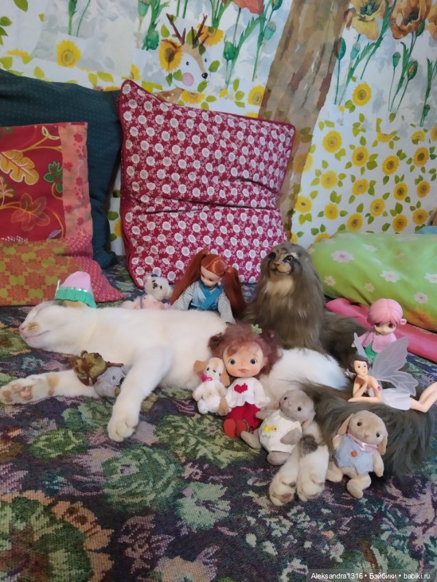 Люся спит🤫 — Авторские работы в частных коллекциях: домашние фото кукол и игрушек