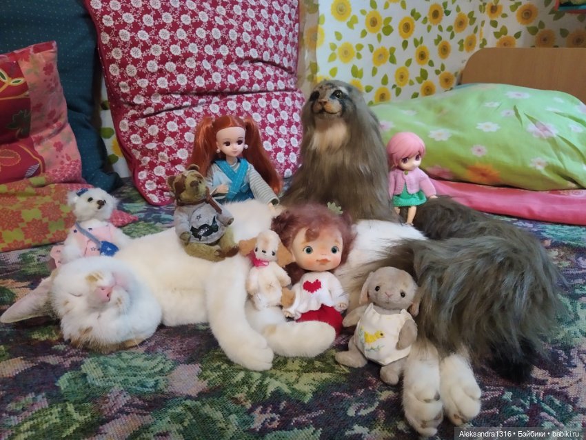 Люся спит🤫 — Авторские работы в частных коллекциях: домашние фото кукол и игрушек (фото 8)