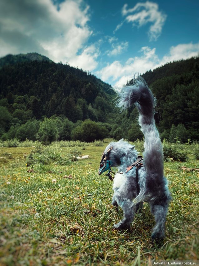 Он дракон — Домашние фото авторских игрушек: Тедди (фото 3)