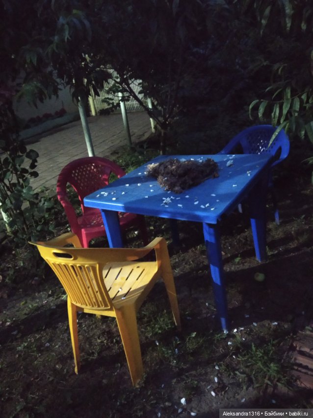 На закате и в сумерках...или помогите определиться с именем малой🐱