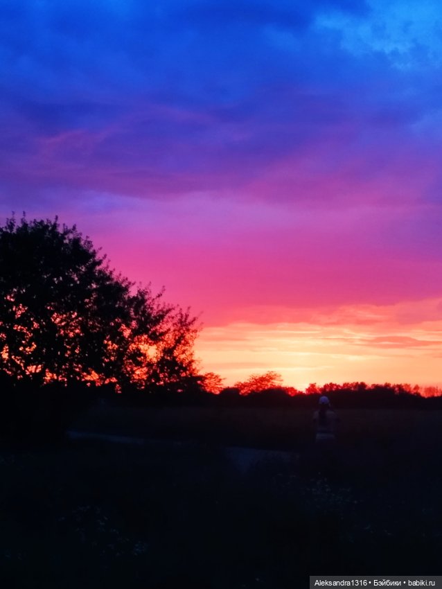На закате и в сумерках...или помогите определиться с именем малой🐱 (фото 2)