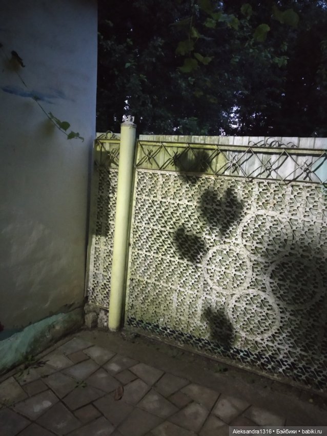 На закате и в сумерках...или помогите определиться с именем малой🐱