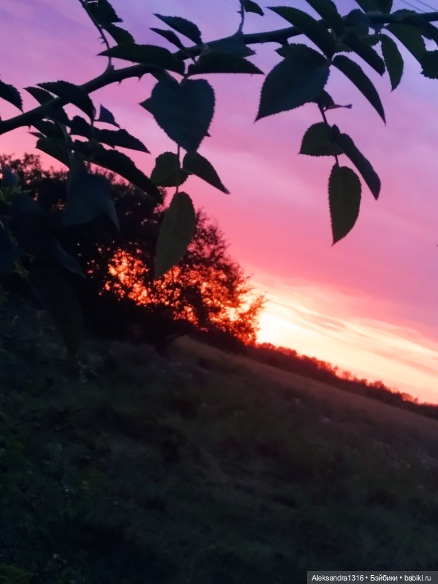 На закате и в сумерках...или помогите определиться с именем малой🐱 (фото 10)