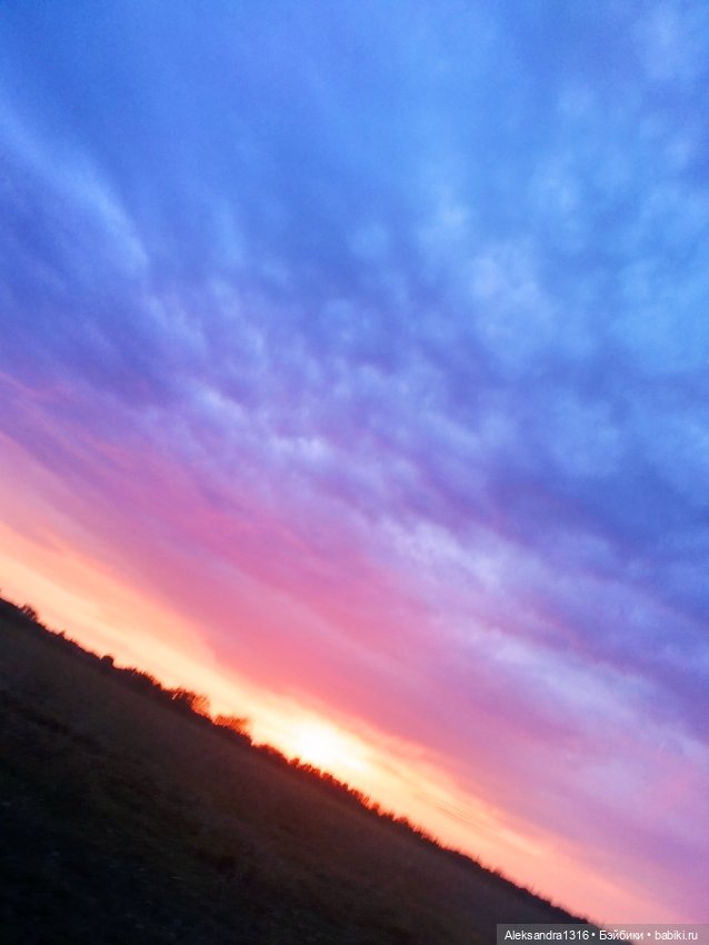 На закате и в сумерках...или помогите определиться с именем малой🐱