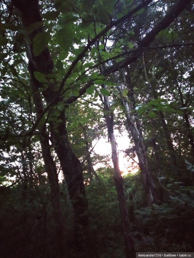 На закате и в сумерках...или помогите определиться с именем малой🐱