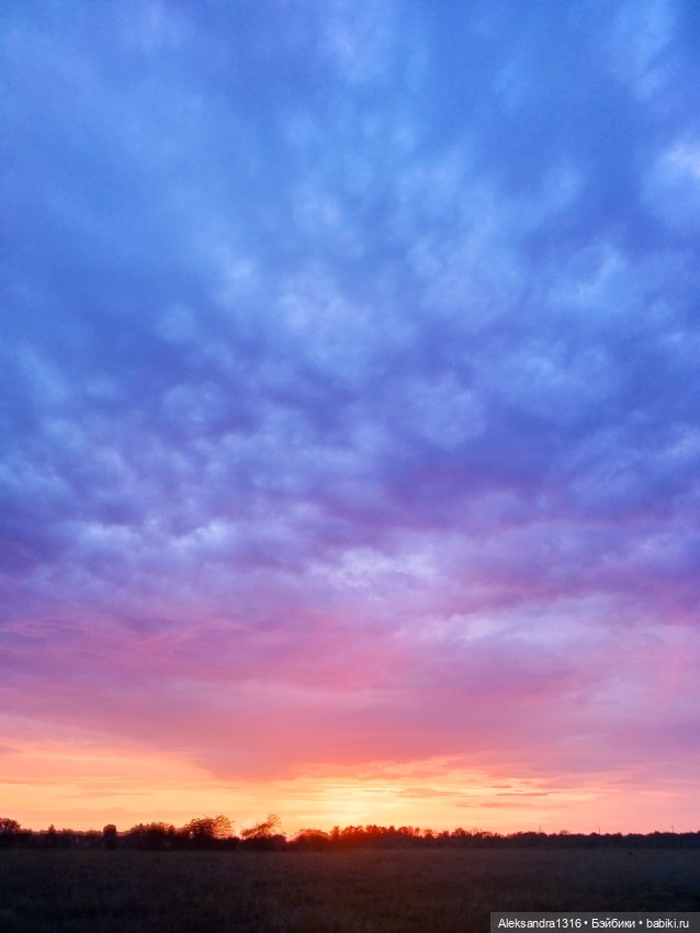 На закате и в сумерках...или помогите определиться с именем малой🐱 (фото 7)