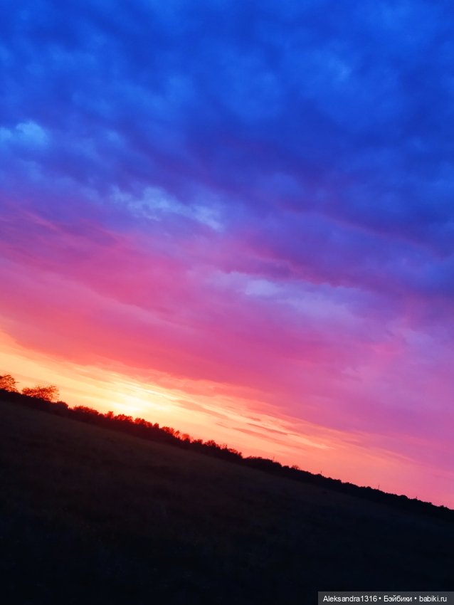 На закате и в сумерках...или помогите определиться с именем малой🐱 (фото 6)