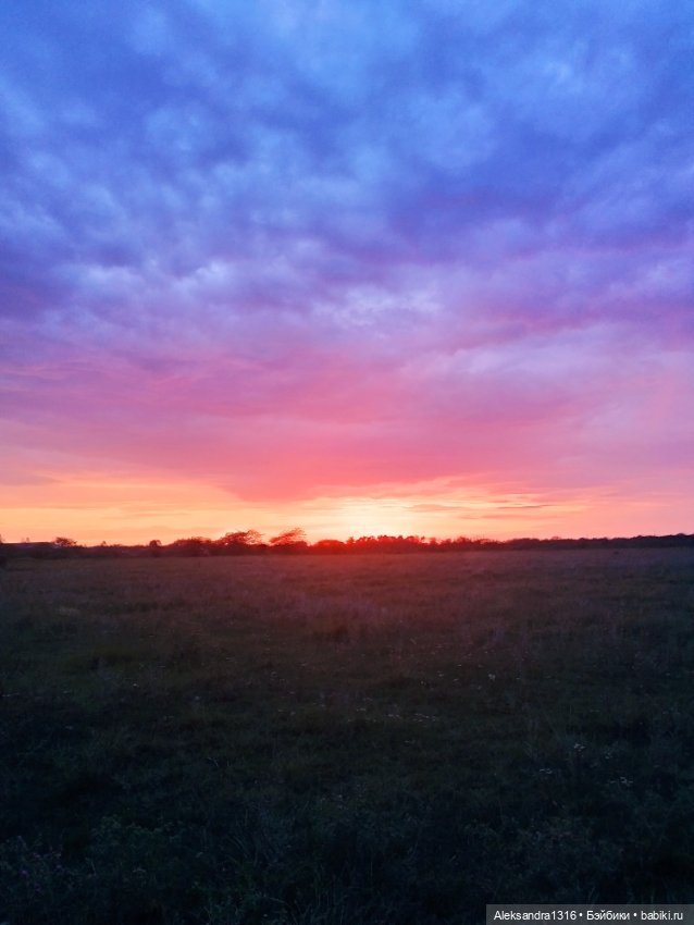 На закате и в сумерках...или помогите определиться с именем малой🐱