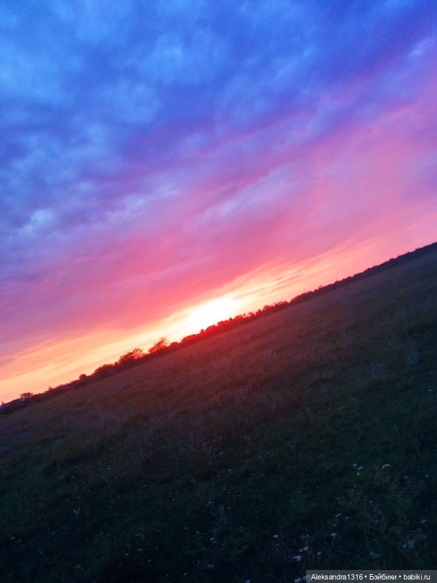 На закате и в сумерках...или помогите определиться с именем малой🐱 (фото 8)