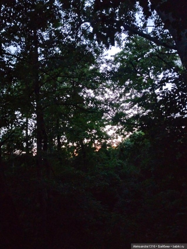 На закате и в сумерках...или помогите определиться с именем малой🐱