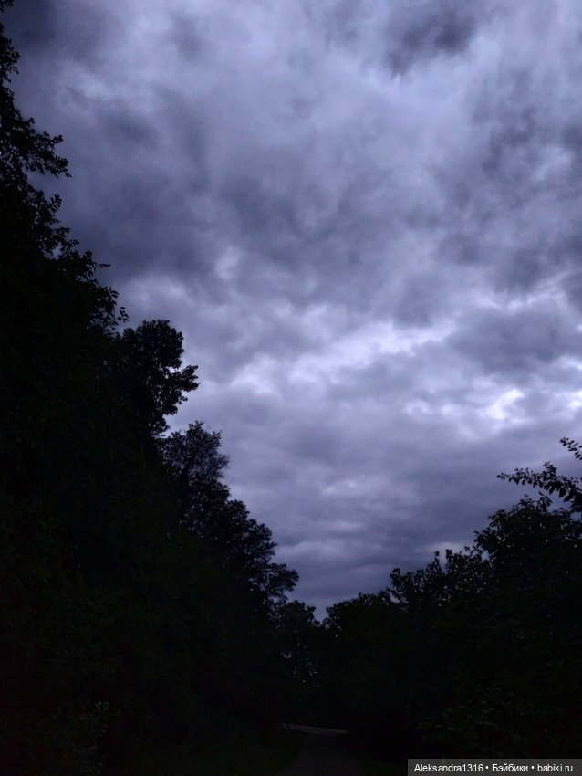 На закате и в сумерках...или помогите определиться с именем малой🐱