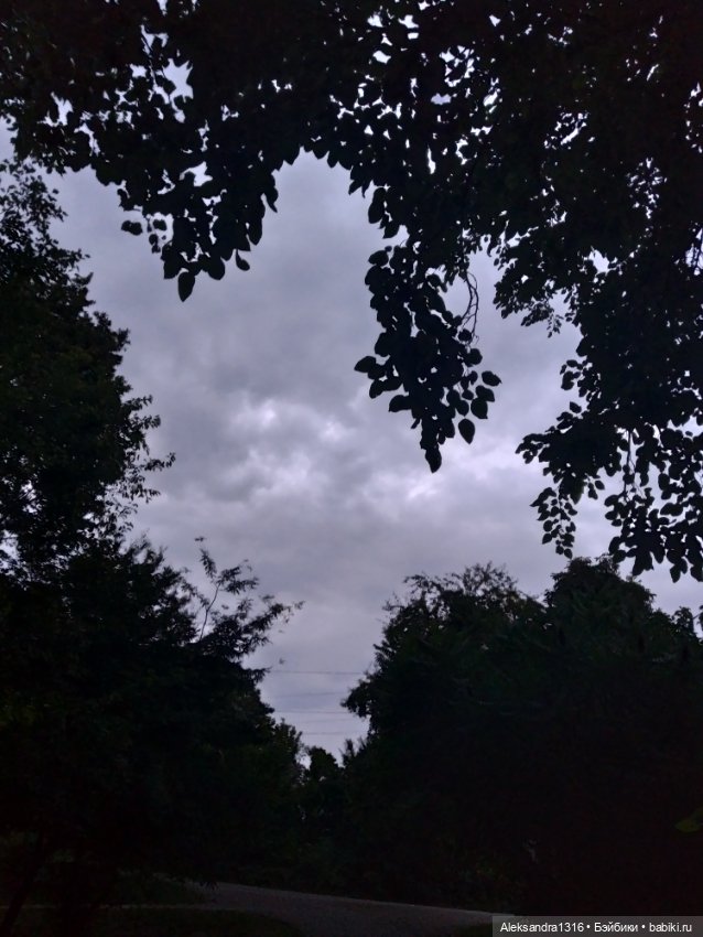 На закате и в сумерках...или помогите определиться с именем малой🐱