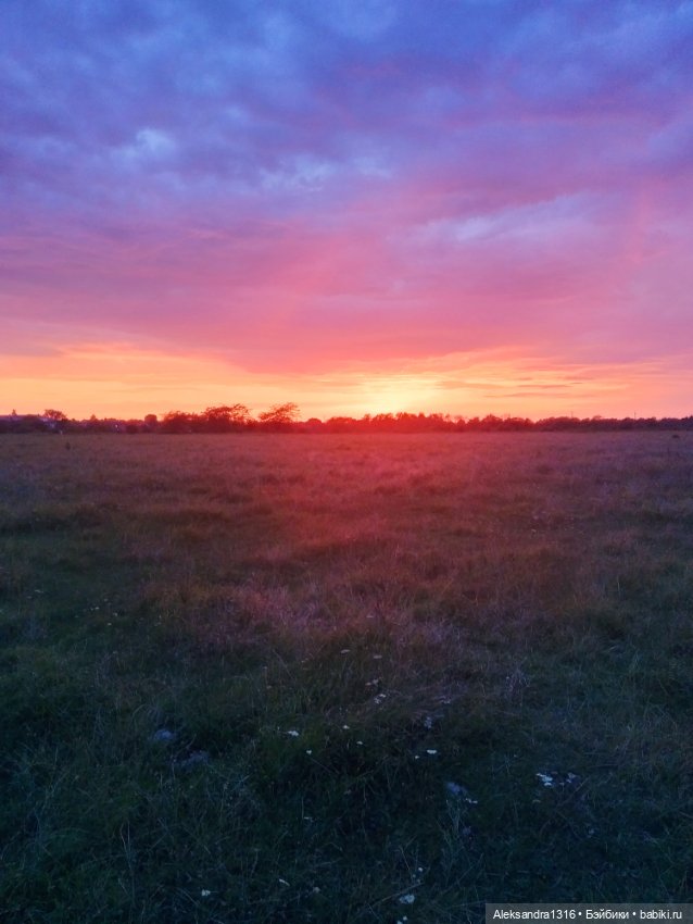 На закате и в сумерках...или помогите определиться с именем малой🐱