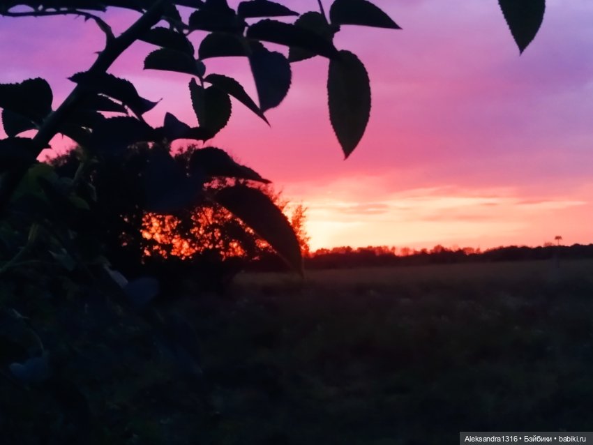 На закате и в сумерках...или помогите определиться с именем малой🐱 (фото 5)