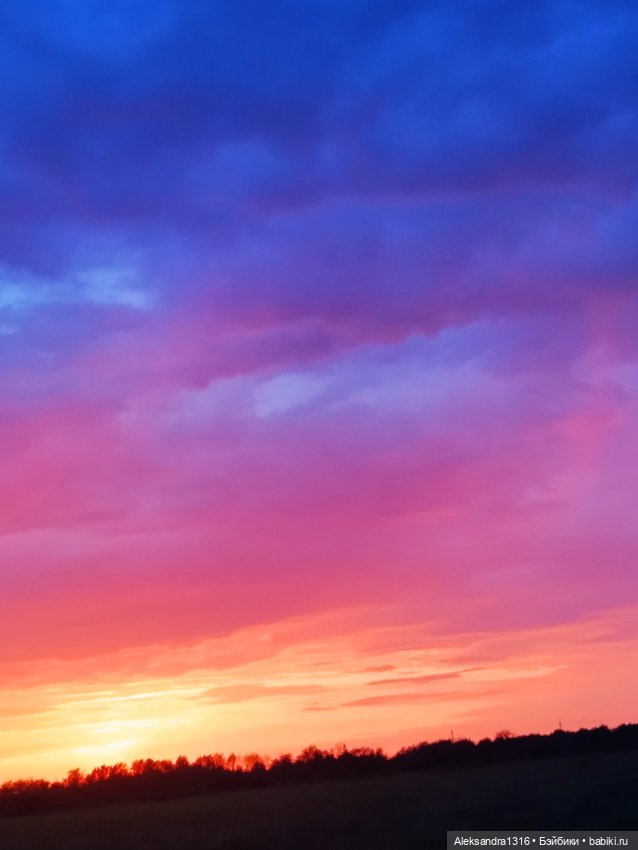 На закате и в сумерках...или помогите определиться с именем малой🐱 (фото 4)