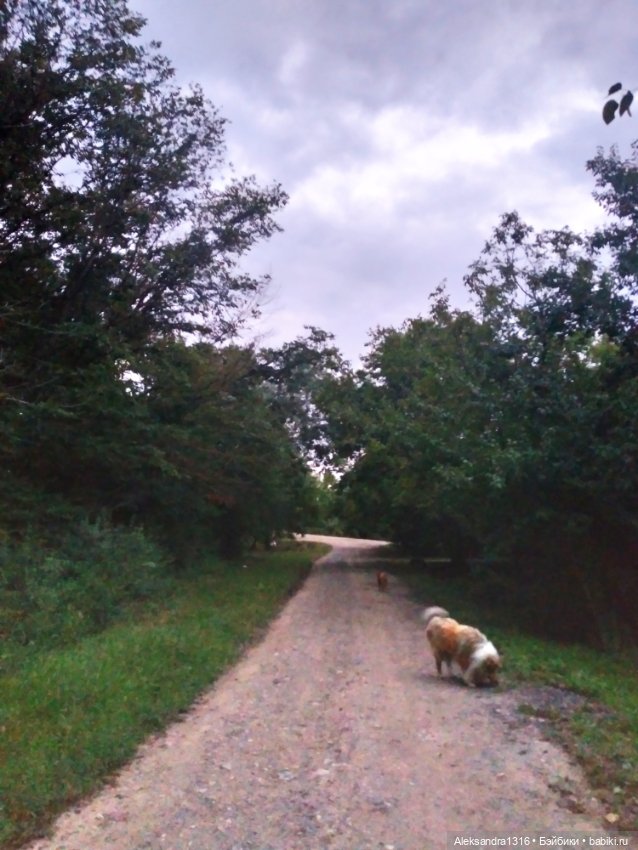 На закате и в сумерках...или помогите определиться с именем малой🐱