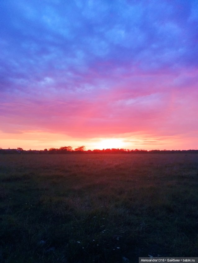 На закате и в сумерках...или помогите определиться с именем малой🐱 (фото 3)