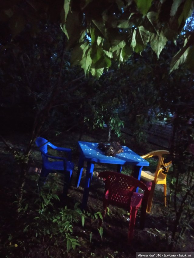 На закате и в сумерках...или помогите определиться с именем малой🐱