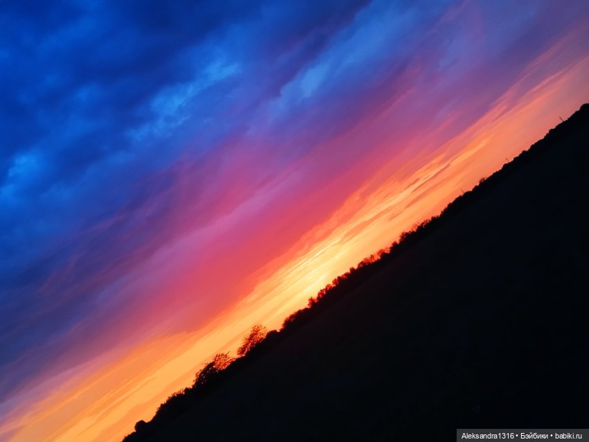 На закате и в сумерках...или помогите определиться с именем малой🐱 (фото 9)