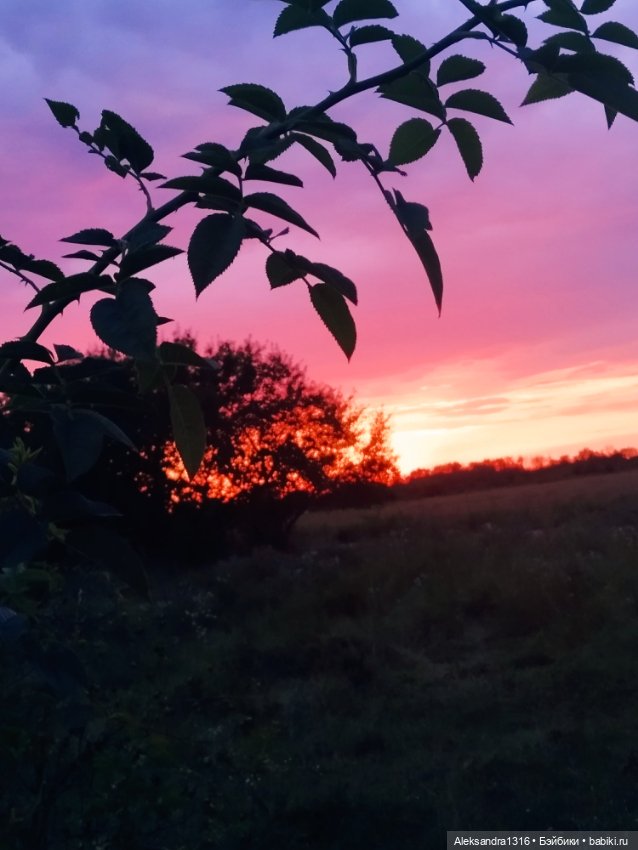 На закате и в сумерках...или помогите определиться с именем малой🐱