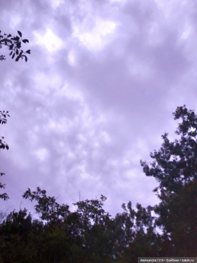 На закате и в сумерках...или помогите определиться с именем малой🐱