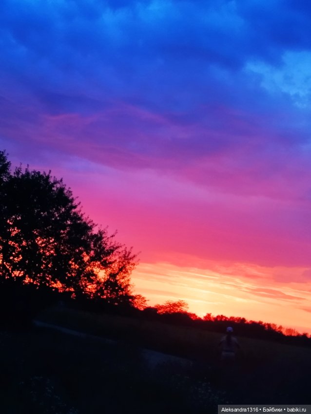 На закате и в сумерках...или помогите определиться с именем малой🐱