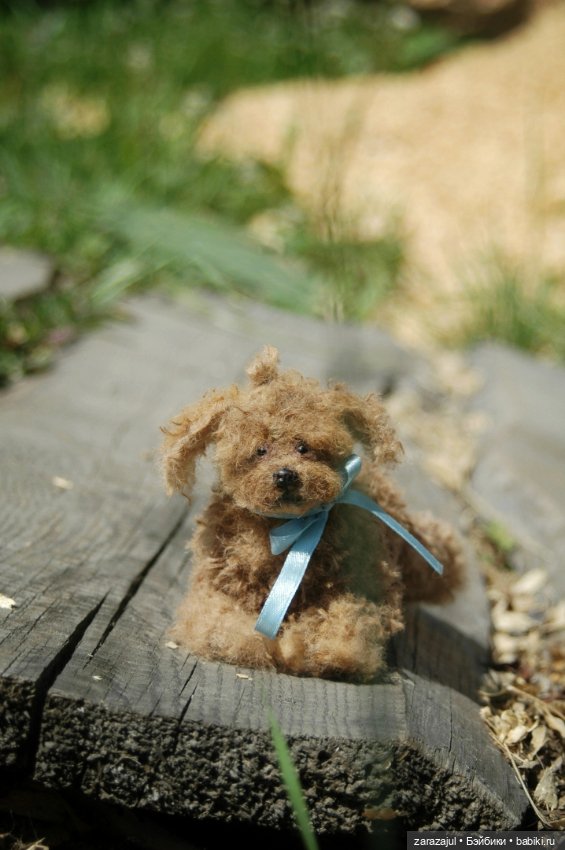 Новый кудрявый малыш — Авторские мишки Тедди и друзья: фото (фото 2)