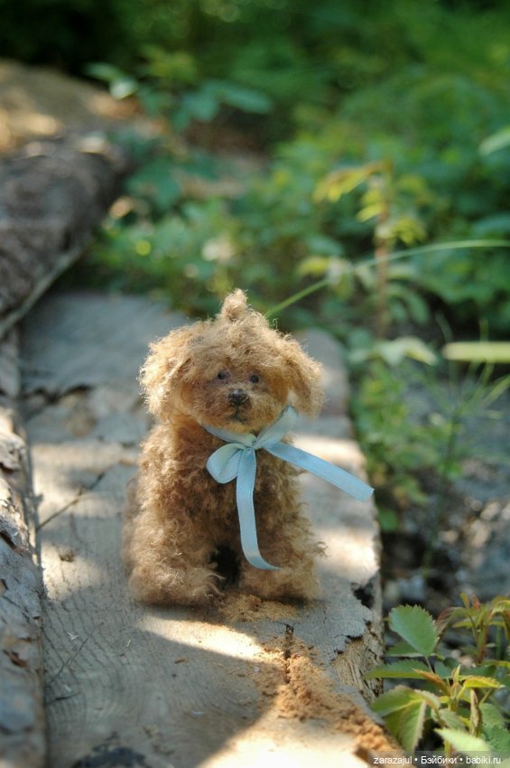 Новый кудрявый малыш — Авторские мишки Тедди и друзья: фото (фото 5)