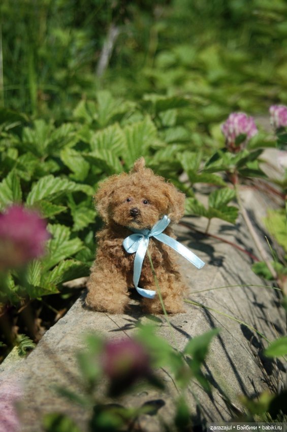 Новый кудрявый малыш — Авторские мишки Тедди и друзья: фото (фото 3)